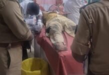 नटवा रोड पर महिला लहूलुहान हालत में मिली, गले पर धारदार हथियार से हमले की आशंका
