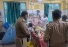 नटवा रोड पर महिला लहूलुहान हालत में मिली, गले पर धारदार हथियार से हमले की आशंका