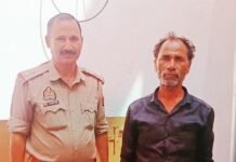 मिर्जापुर के दादो जंगल से 18 गोवंश बरामद