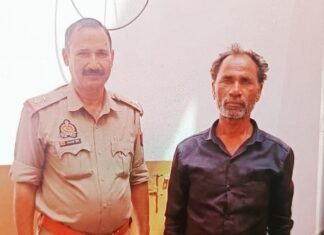 मिर्जापुर के दादो जंगल से 18 गोवंश बरामद