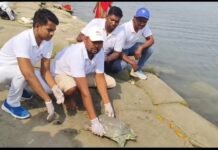 गंगा प्रहरी ने किया भारतीय सॉफ्टशेल कछुए का रेस्क्यू, सुरक्षित गंगा में छोड़ा