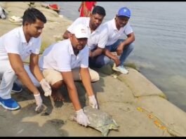 गंगा प्रहरी ने किया भारतीय सॉफ्टशेल कछुए का रेस्क्यू, सुरक्षित गंगा में छोड़ा