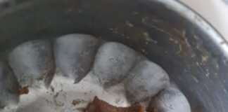 लाल पेड़ा कारोबारियों को योगी सरकार का तोहफा, मिलेगा करोड़ों तक का अनुदान
