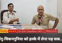 क्या कीवी और पपीते के पत्तों का रस सचमुच बढ़ाते हैं प्लेटलेट्स? डॉक्टर ने बताया पूरा सच