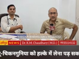 क्या कीवी और पपीते के पत्तों का रस सचमुच बढ़ाते हैं प्लेटलेट्स? डॉक्टर ने बताया पूरा सच