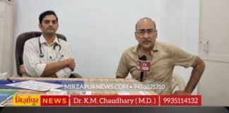 क्या कीवी और पपीते के पत्तों का रस सचमुच बढ़ाते हैं प्लेटलेट्स? डॉक्टर ने बताया पूरा सच