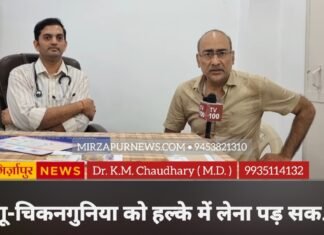 क्या कीवी और पपीते के पत्तों का रस सचमुच बढ़ाते हैं प्लेटलेट्स? डॉक्टर ने बताया पूरा सच