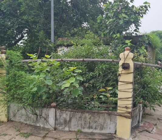 रामेश्वर महादेव मंदिर के पवित्र जलकुंड की सफाई की मांग