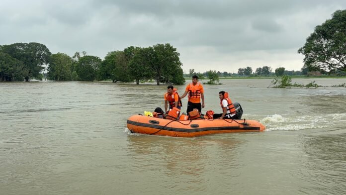 IMG-20260819-WA0011